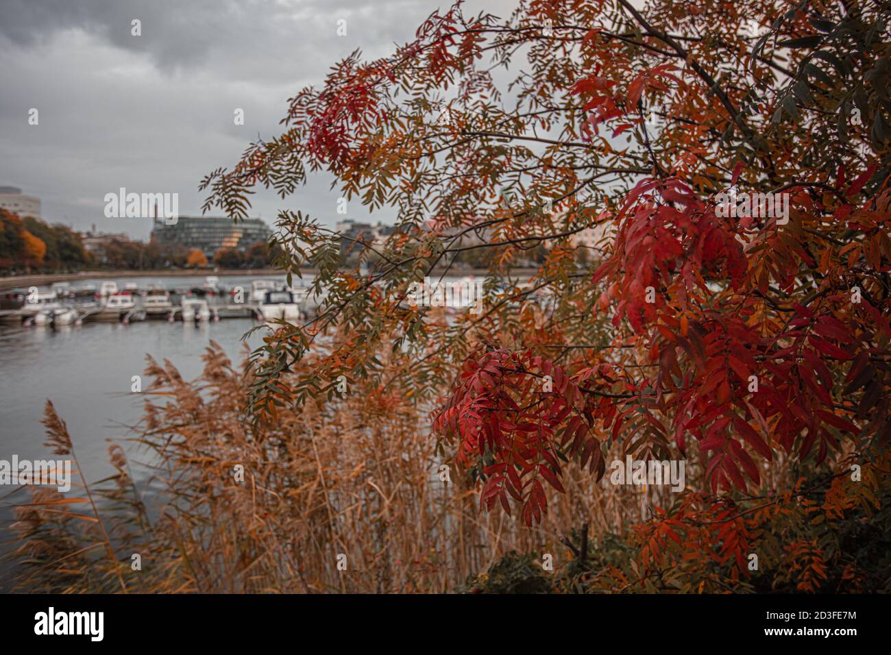 Helsinki, Uusimaa, Finnland 7. Oktober 2020 Herbstlandschaft Toolo Bay und Hakaniemi. Hochwertige Fotos Stockfoto