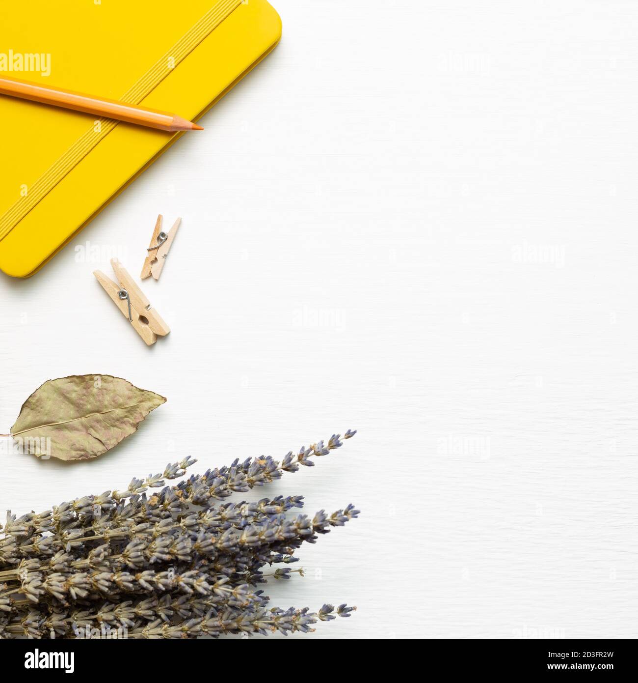 Tagebuchnotiz und Bleistift mit trockenem Lavendel auf weißem Hintergrund. Flach liegend, Draufsicht, Kopierraum Stockfoto