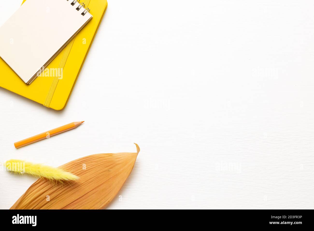 Notizbuch, Tagebuch und Bleistift mit trockener Pflanze auf weißem Hintergrund. Flach liegend, Draufsicht, Kopierraum. Arbeits- und Studienort Stockfoto