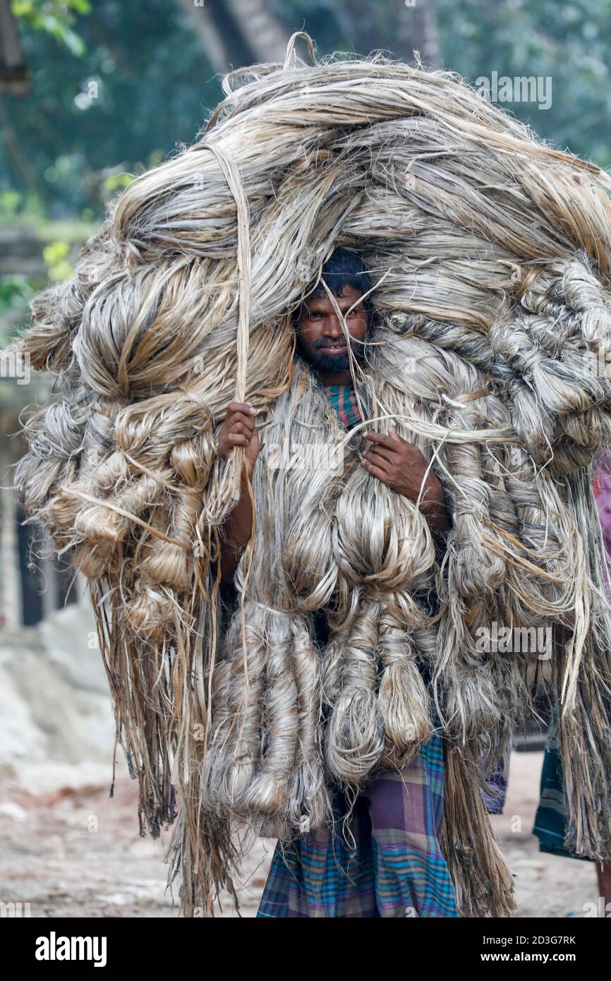 Ein bangladeschischer Händler trägt es gleich nach der Abholung von Bauern in Manikganj, Bangladesch. Stockfoto