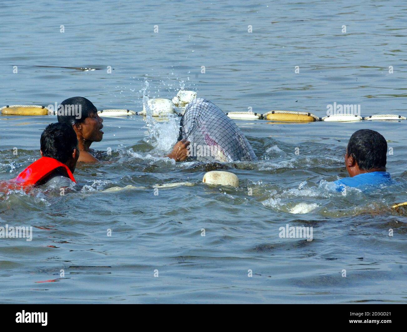 Indopazifischer buckel delfin -Fotos und -Bildmaterial in hoher Auflösung –  Alamy