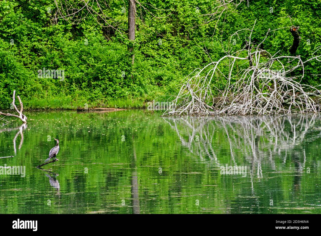 Bilder von Patapsco State Park in Maryland Stockfoto