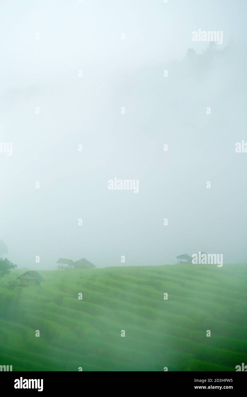 Das Reispaddy im Bong Piang Dorf Chiang Mai, Thailand Stockfoto