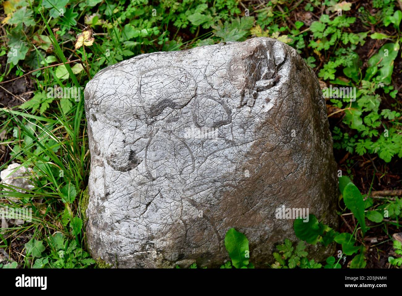 Österreich, Fundstätten aus prähistorischer Zeit in Felsbrocken auf der Wurzeralm, in der Ferienregion Pyhrn-Priel im Nationalpark Kalkalpen in Oberaust gelegen Stockfoto