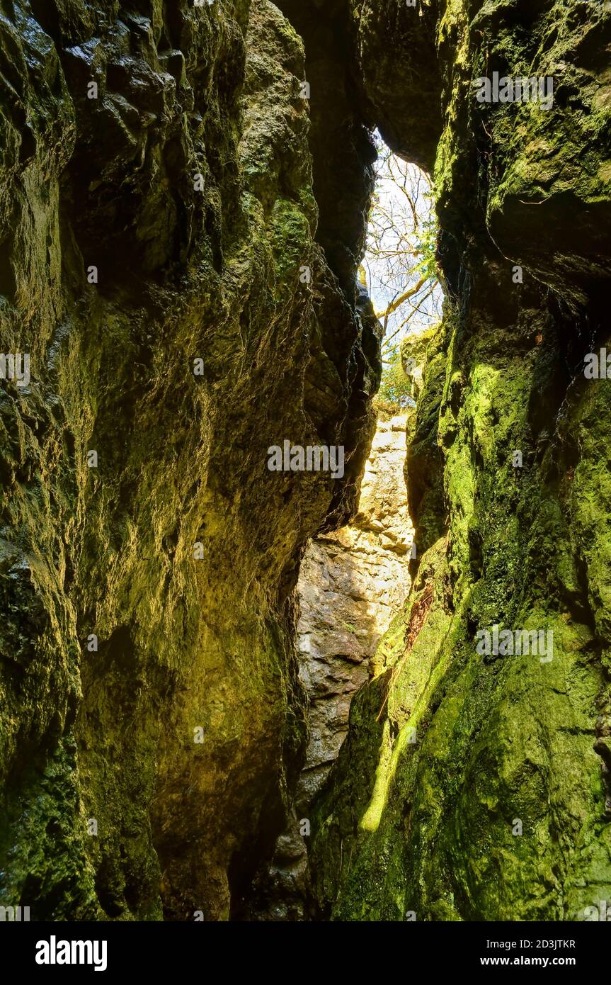 Alte Opencuts aus dem Bleibergbau auf einer Ader namens Hard Rake, auf dem Gipfel des High Tor in Matlock Bath, später als Schauhöhle namens Roman Cave eröffnet. Stockfoto
