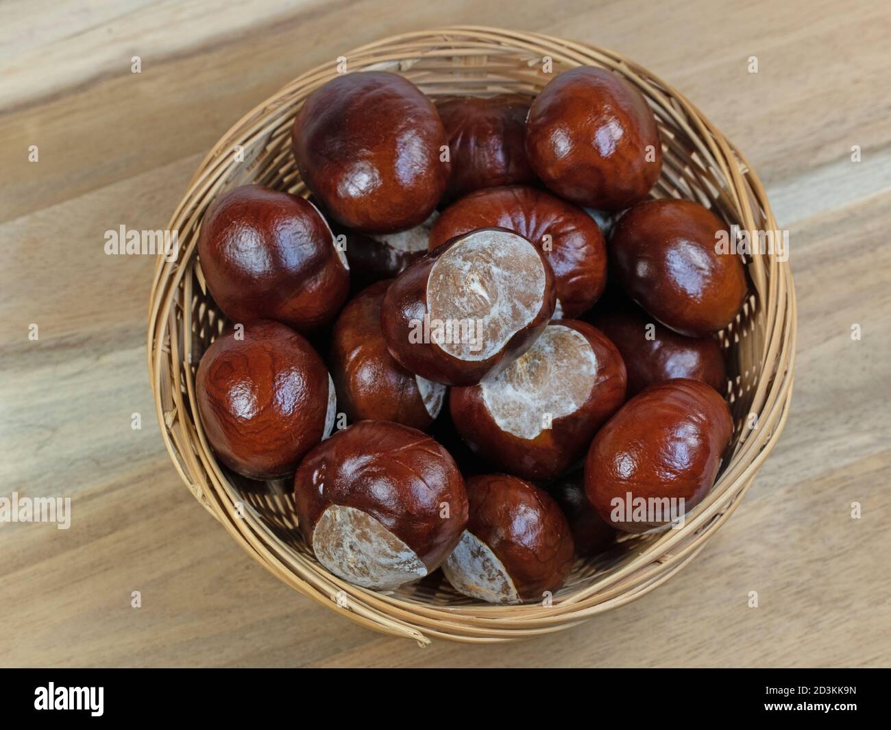 Weiße Pferd Chestnut, Aesculus hippocastanum Stockfoto