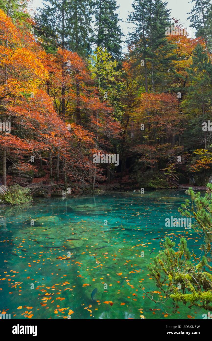 Blausee im Herbst, Schweiz Stockfoto