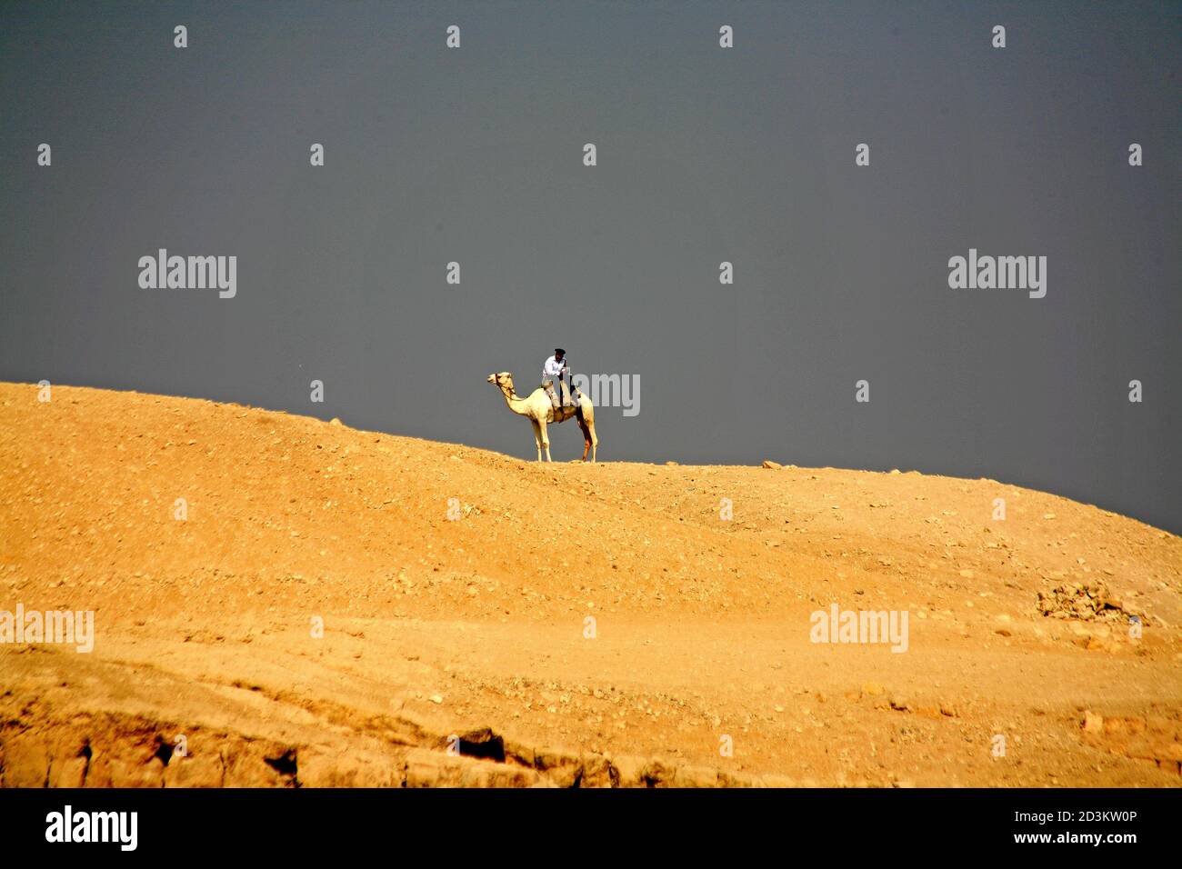 Ein Kamelwächter auf dem Rücken eines Kamels in Die Pyramiden von Gizeh sehen von einer Sanddüne aus Stockfoto