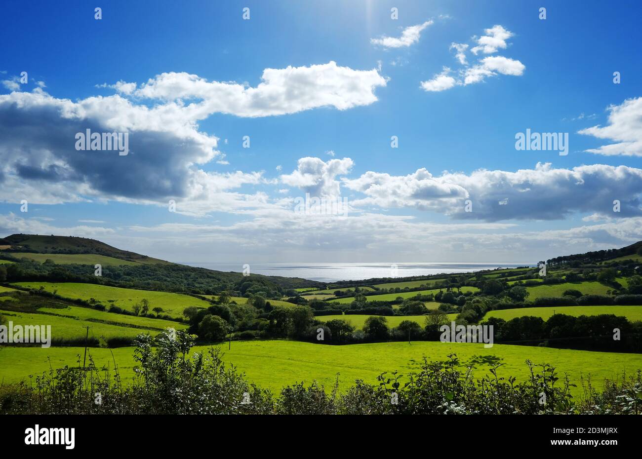 Rolling Fields an der Dorset Küste bei Morcombelake, UK - John Gollop Stockfoto