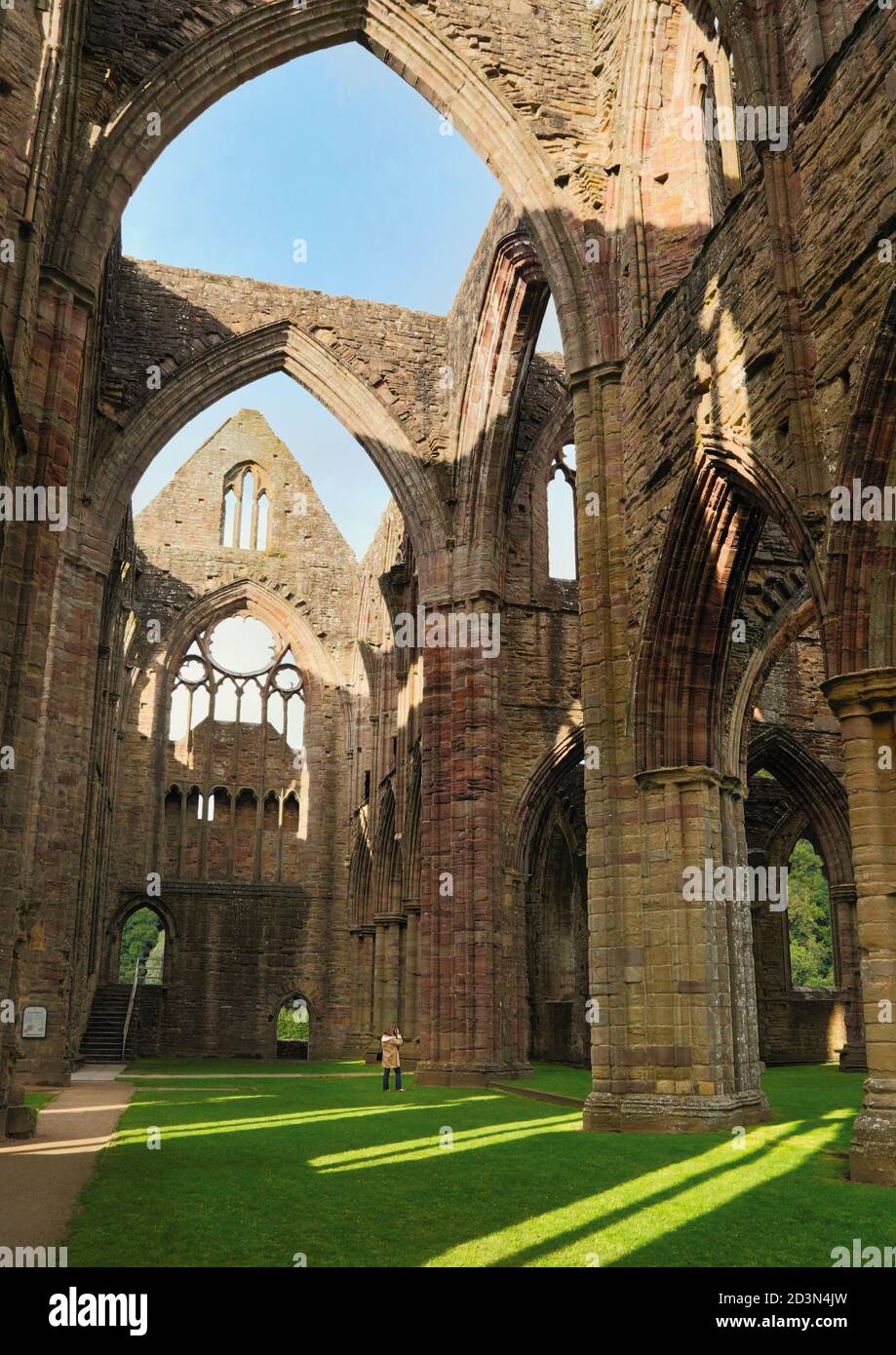 Tintern Abbey, Monmouthshire, Wales, Vereinigtes Königreich. Die Zisterzienserabtei fiel in Ruine aftr die Auflösung der Klöster in der Regierungszeit des Königs Stockfoto