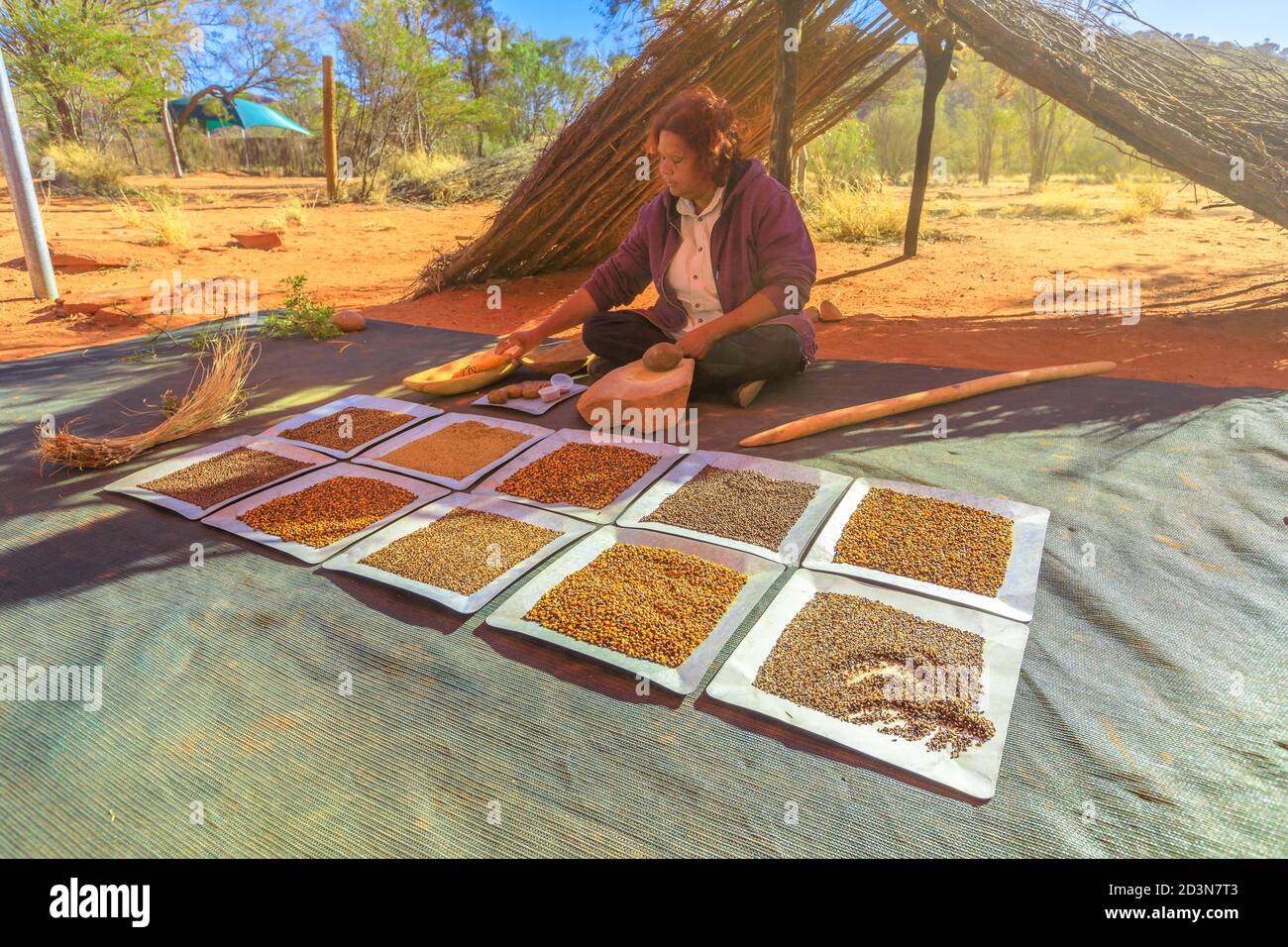 Kings Creek, Northern Territory, Australien - Aug 21,2019: Australische Aborigine-Frau zeigt die traditionellen Buschsamen, die für Nahrung und Landwirtschaft verwendet werden Stockfoto