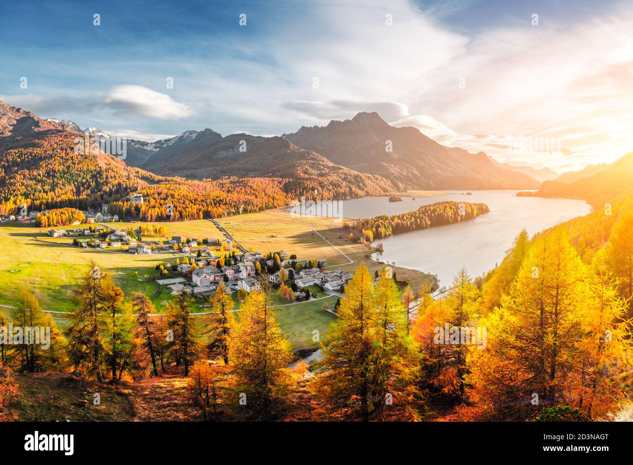 Panorama von Sils Dorf und Sils See (Silsersee) in Schweizer Alpen. Farbenfroher Wald mit oranger Lärche. Schweiz, Region Maloja, Oberengadin. Landschaftsfotografie Stockfoto