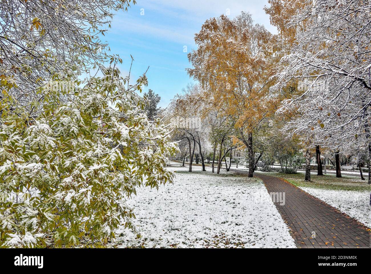 Erster Schneefall im bunten Herbst Stadtpark. Weiße flauschige Schnee bedeckt goldenen, roten, grünen Bäumen und Sträuchern Laub. Wechsel der Jahreszeiten - Märchen von Stockfoto