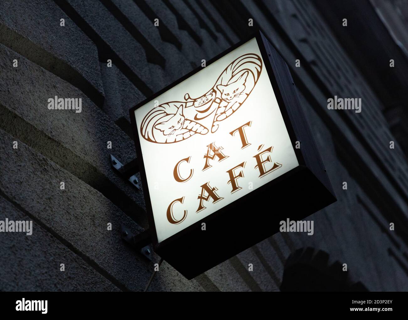 Katzencafé-Schild in Budapest, Ungarn Stockfoto