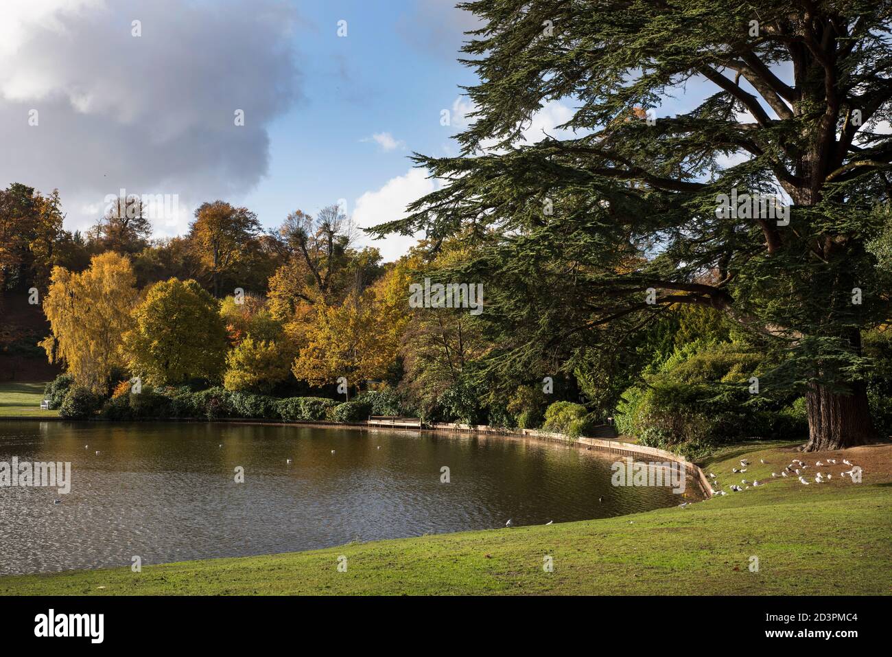 Wunderschöner See in Claremont Gardens Surrey im Herbst Stockfoto