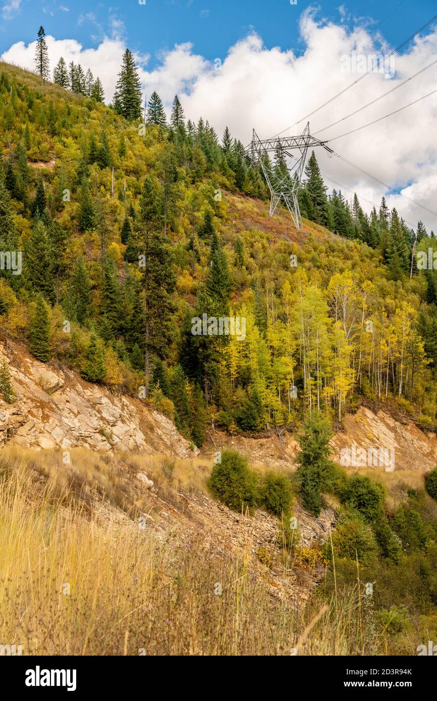 Herbstfarben Auf Moon Pass. Wallace, Idaho. Stockfoto