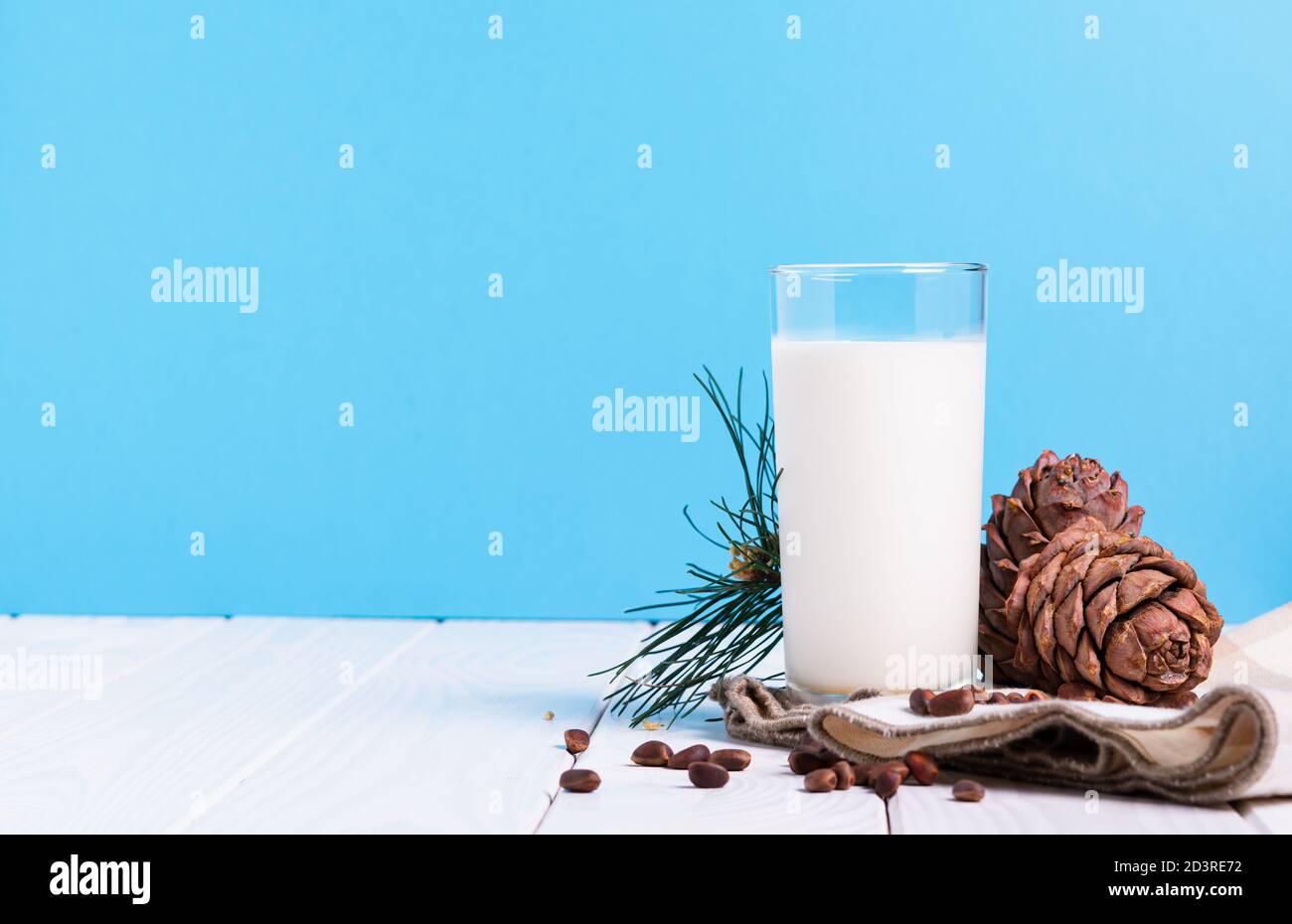 Laktosefreies Milchkonzept, Glas mit Zedernmilch, Zapfen und Nüssen auf weißem Tisch auf blauem Hintergrund Stockfoto