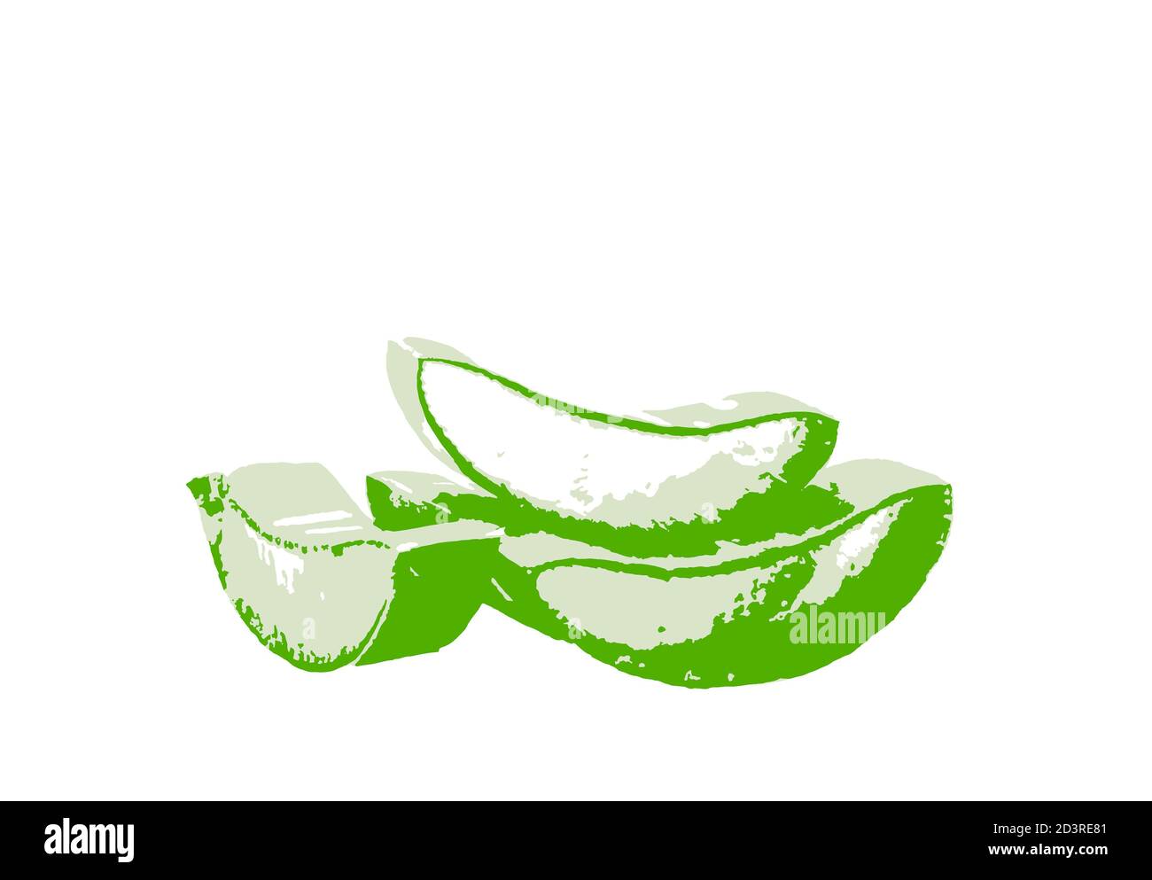 Nahaufnahme der Aloe Vera Scheibe auf weißem Hintergrund Stockfoto