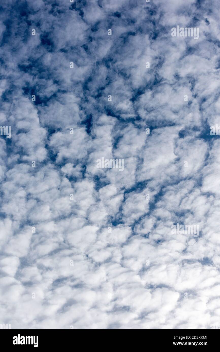 Ein Makrelenhimmel in der Herbstsaison mit verstreuten Wolkenformationen, die ein Muster bilden. Stockfoto