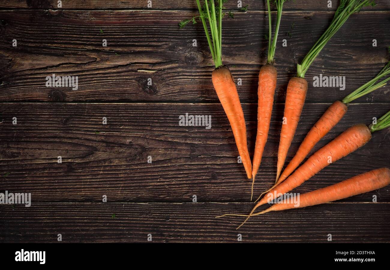 Orangefarbene Karottenwurzeln mit grünen Blättern auf dunklem Holzbrett, Foto von oben, Platz für Text links Stockfoto