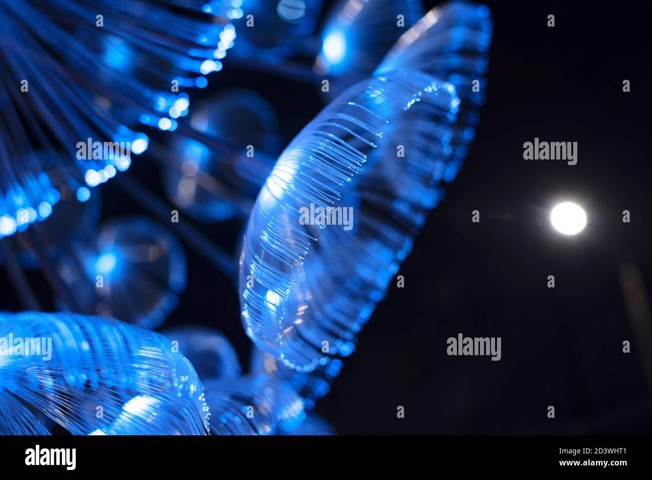 Dekorative Lichtwellenleiter-Leuchten auf dunklem Hintergrund Stockfoto