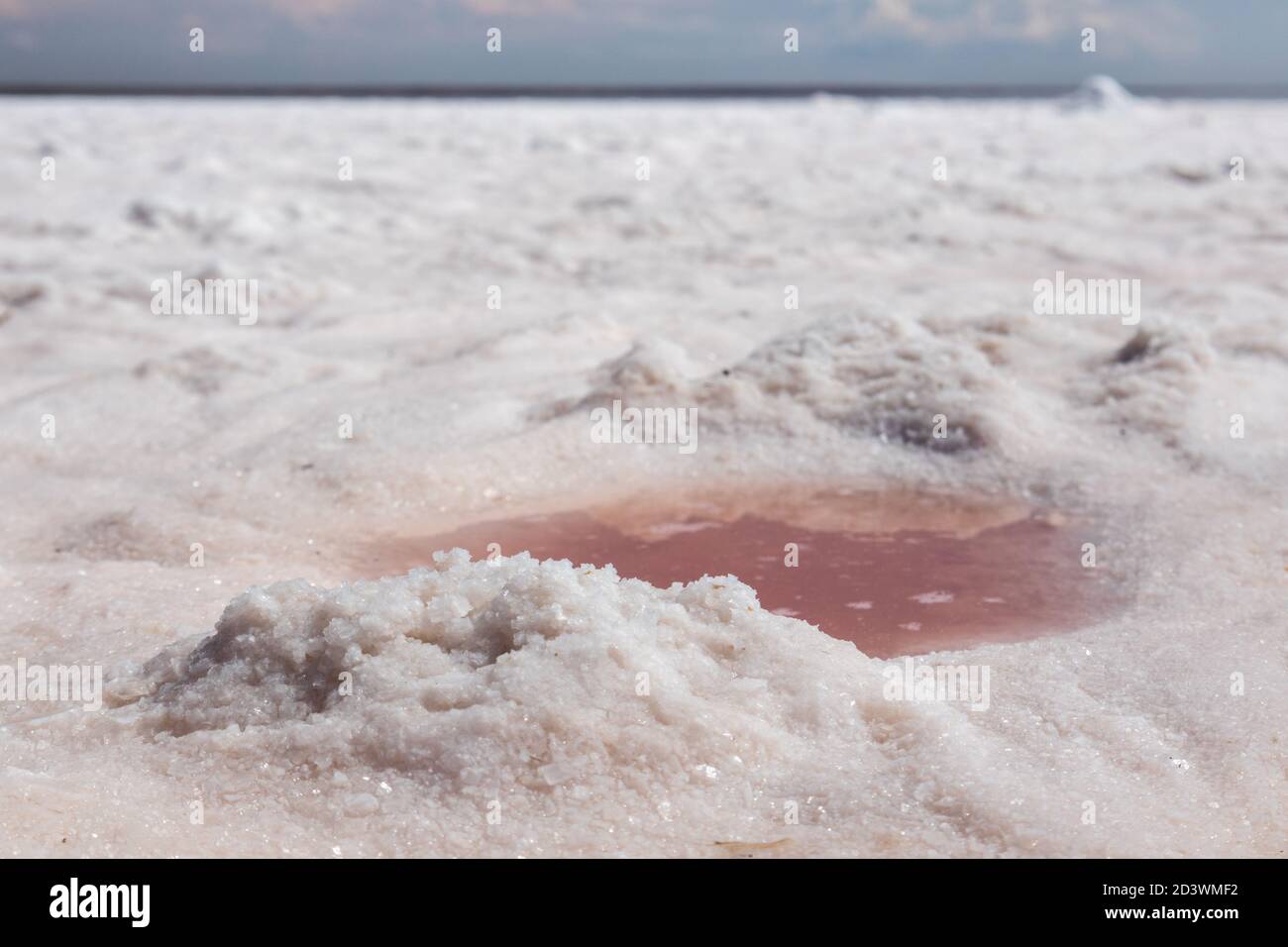 Rosa Wasserpfütze aus nächster Nähe an der Küste des Salzsees mit weißem Salz und blauem Himmel. Syvash oder Sivash Meer Spa Erholung Sommer sonnige Zeit, das Putrid Meer oder R Stockfoto