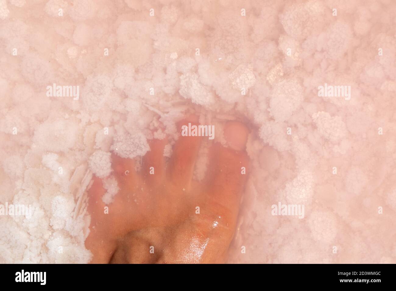 Mann Bein Fuß Finger Nahaufnahme in rosa Salzflocken Draufsicht unter rosa Wasseroberfläche. Gesunde Spa-Behandlungen auf Syvash Resort, der Putrid See oder Rotten Stockfoto