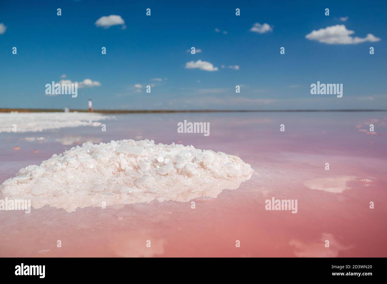 Salz rosa Kristalle Haufen Nahaufnahme leuchtet an der Seeufer mit rosa Wasseroberfläche Reflexion an sonnigen lebendigen Tag. Spa-Erholung auf Syvash oder Sivash, t Stockfoto