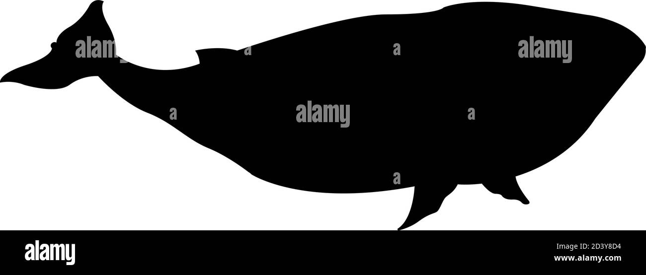 Wal Tierdesign Meeresleben Ökosystem Fauna und Meer Thema Vektorgrafik Stock Vektor