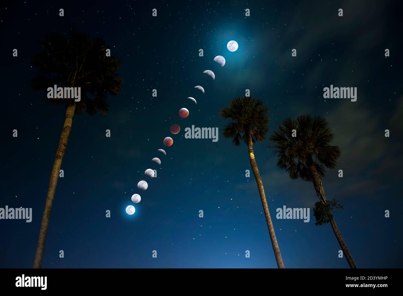 Ein Zeitraffer einer Mondfinsternis von Blood Moon in der Nähe von Fort Lauderdale Beach, FL. Das zu sehen war eine erstaunliche und fast mystische Erfahrung. Stockfoto