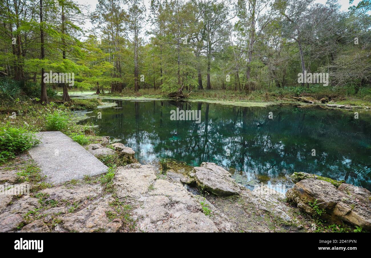 LIVE OAK, FLORIDA, VEREINIGTE STAATEN - Oct 20, 2018: Ein natürliches warmes Wasser Pool bildet einen der Schwimmbereiche in Wes Skiles Peacock Springs State Stockfoto