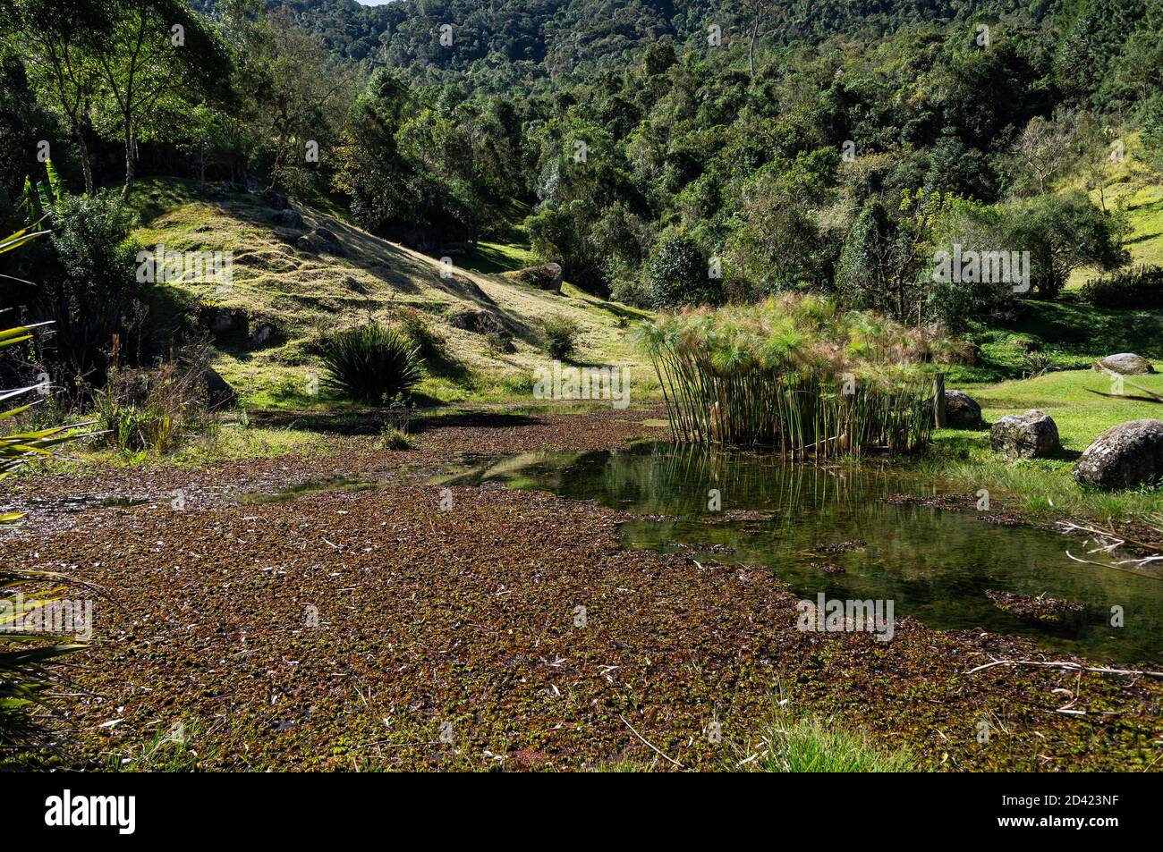 Ein kleiner See mit Wasserpflanzen in der Nähe einige Hügel mit grüner Vegetation in der Nähe Wolkenburg Brauerei, in Cunha, Sao Paulo - Brasilien bedeckt. Stockfoto