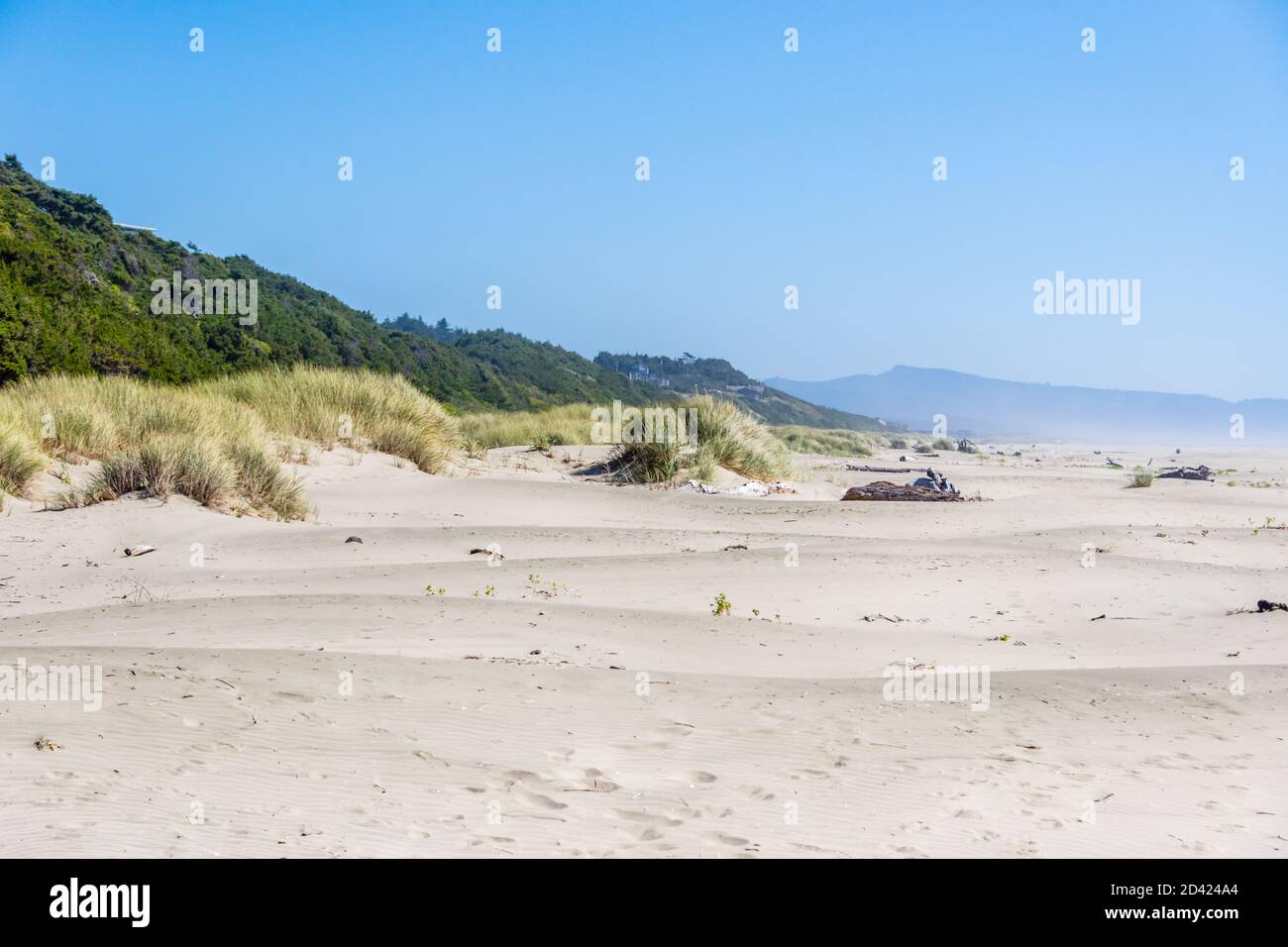 Oregon, Küste in der Nähe von Seal Rock, Blick nach Süden entlang des Strandes Stockfoto