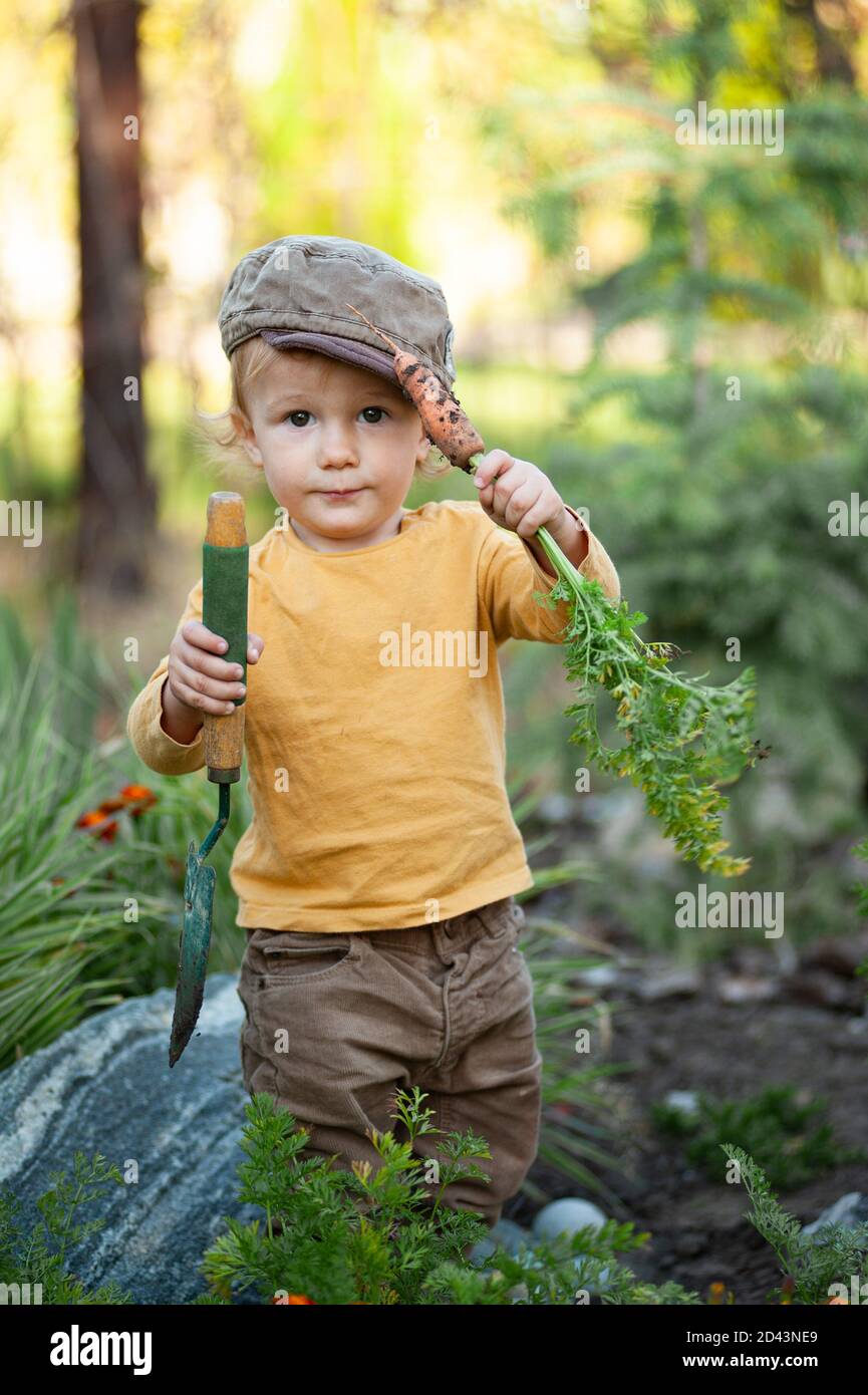 Kleiner Junge mit Karotte im Garten Stockfoto