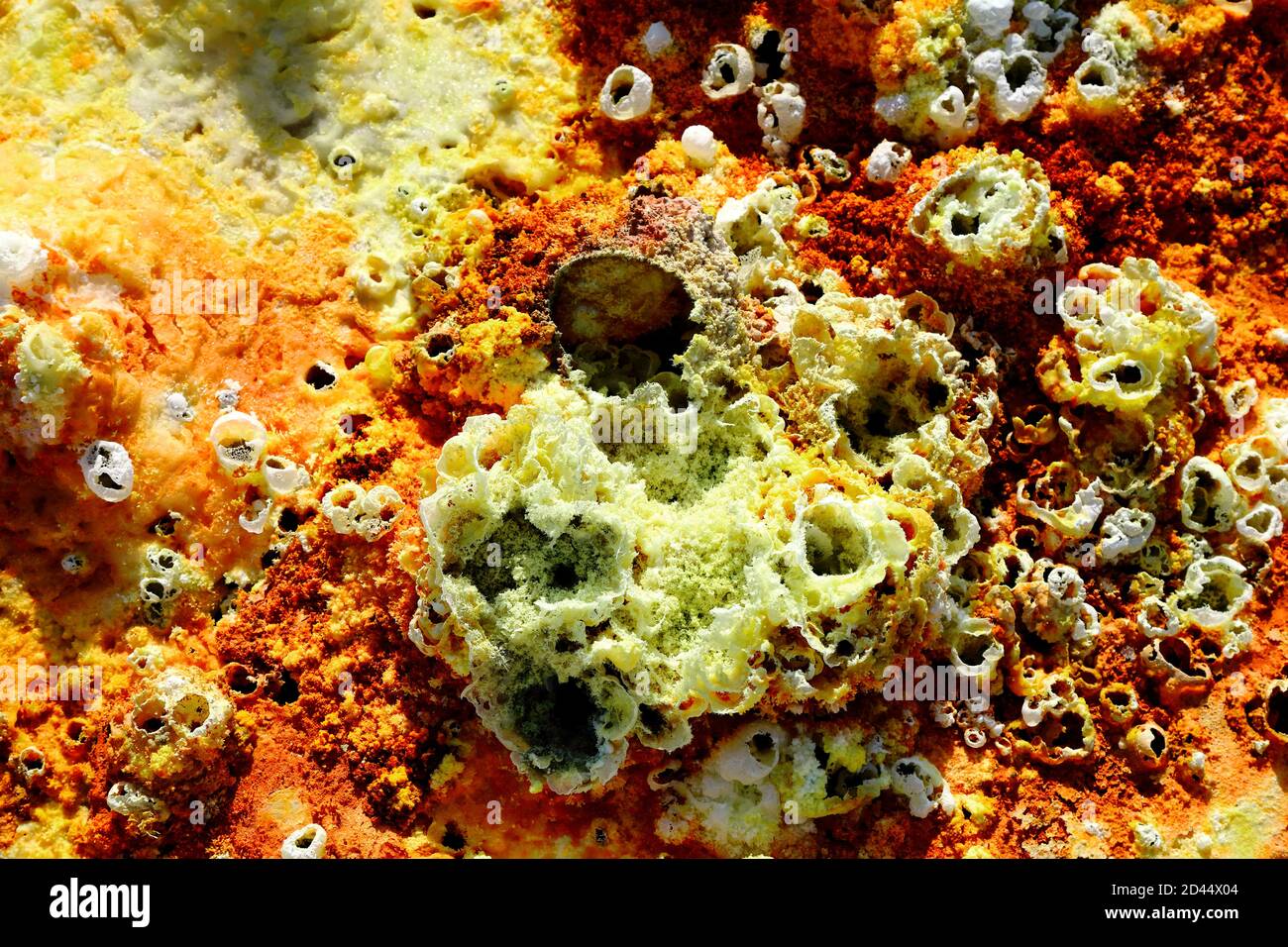 Eine Nahaufnahme der geothermischen Quellen von Dallol in der Danakil-Depression, Eisen und Schwefel liefern die Rost und gelbe Färbung, in der Nähe von Hamadella, Ethi Stockfoto