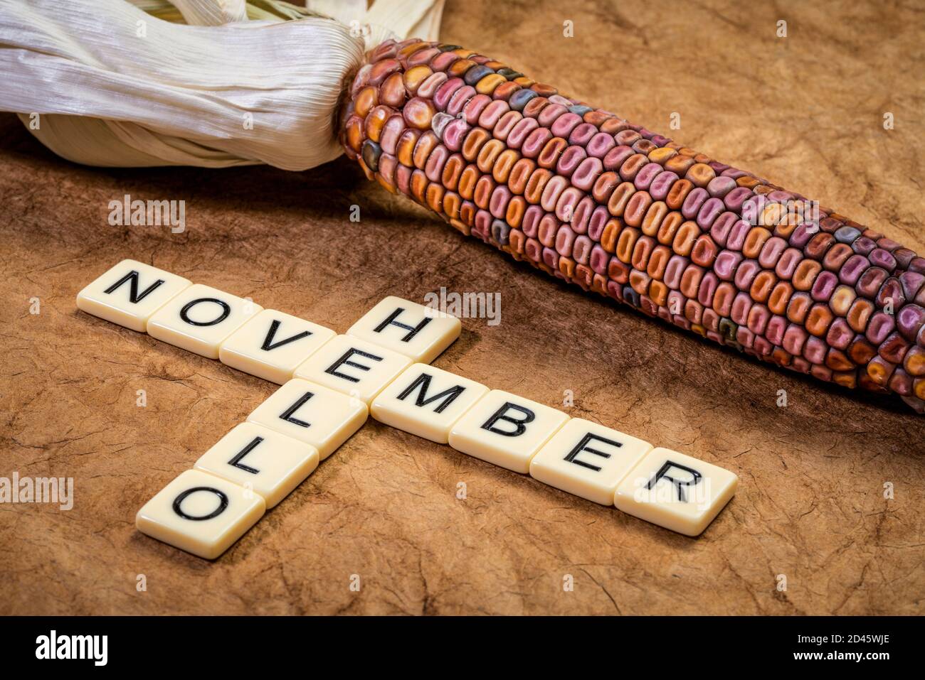 Hallo November Kreuzworträtsel in Elfenbein Buchstaben Blöcke mit einem ornamentalen Mais, Herbst Urlaub Konzept Stockfoto