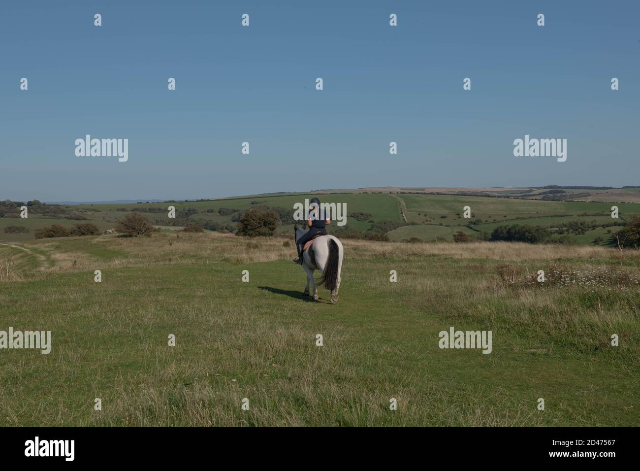 Frauen reiten auf dem Kreidefelsen des Teufelsdeiches auf den South Downs in Rural West Sussex, England, Großbritannien Stockfoto