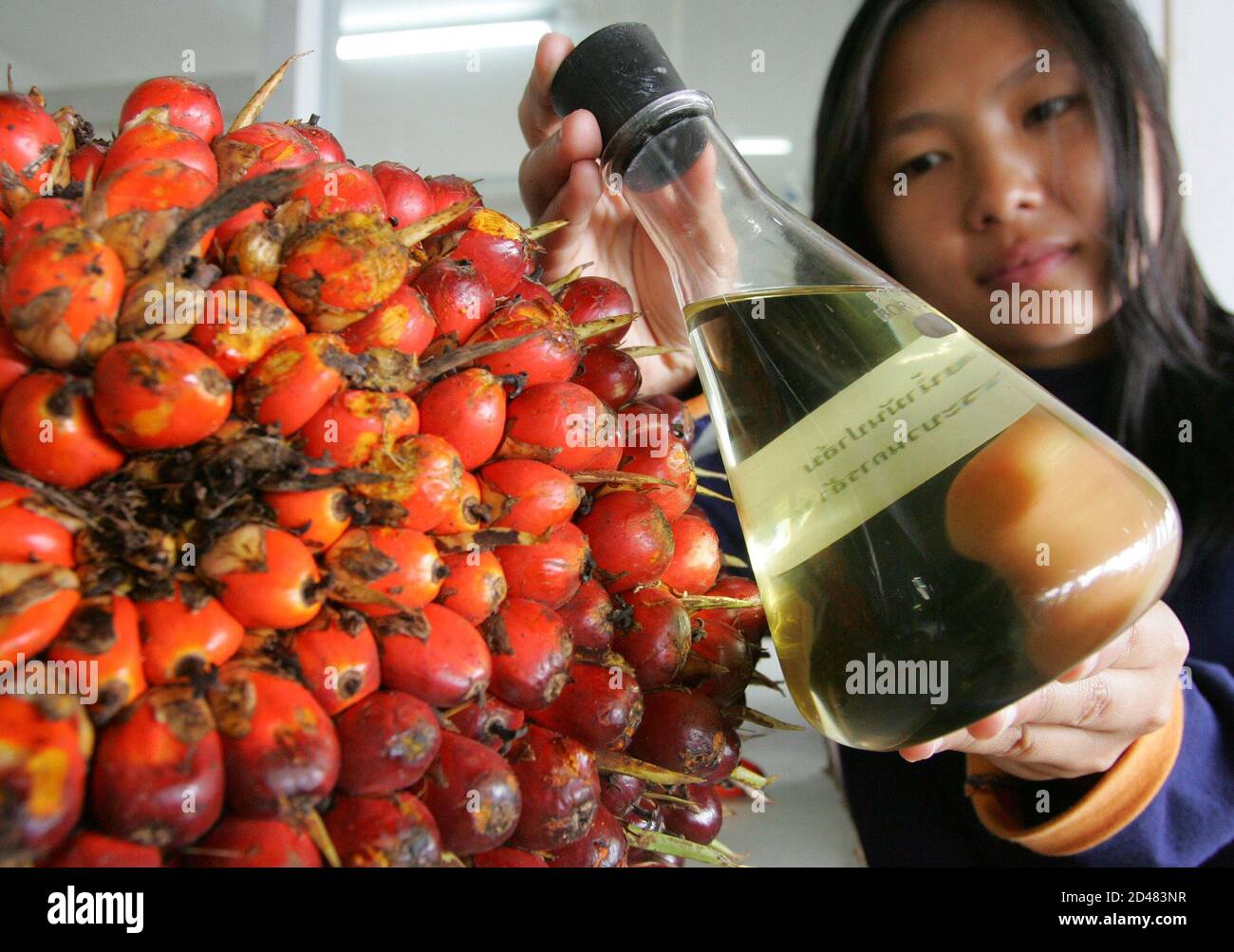 Palmöl-Raffinerie Arbeitnehmer zeigt eine Flasche von Palmöl in der östlichen Provinz Chonburi, 110 Meilen (69) von Bangkok, 3. September 2004. NET-Öl Importeur Thailand will seine Palm-Produktion durch das Sechsfache erhöhen bis 2008 sein Öl verwenden, mischen mit Diesel, seine Rechnungen Import fossiler Brennstoffe zu reduzieren und die Einkommen der Landwirte zu steigern, sagte der Energieminister am Mittwoch, 17. November 2004. Bild 3. September 2004. REUTERS/Sukree Sukplang SS/CN Stockfoto