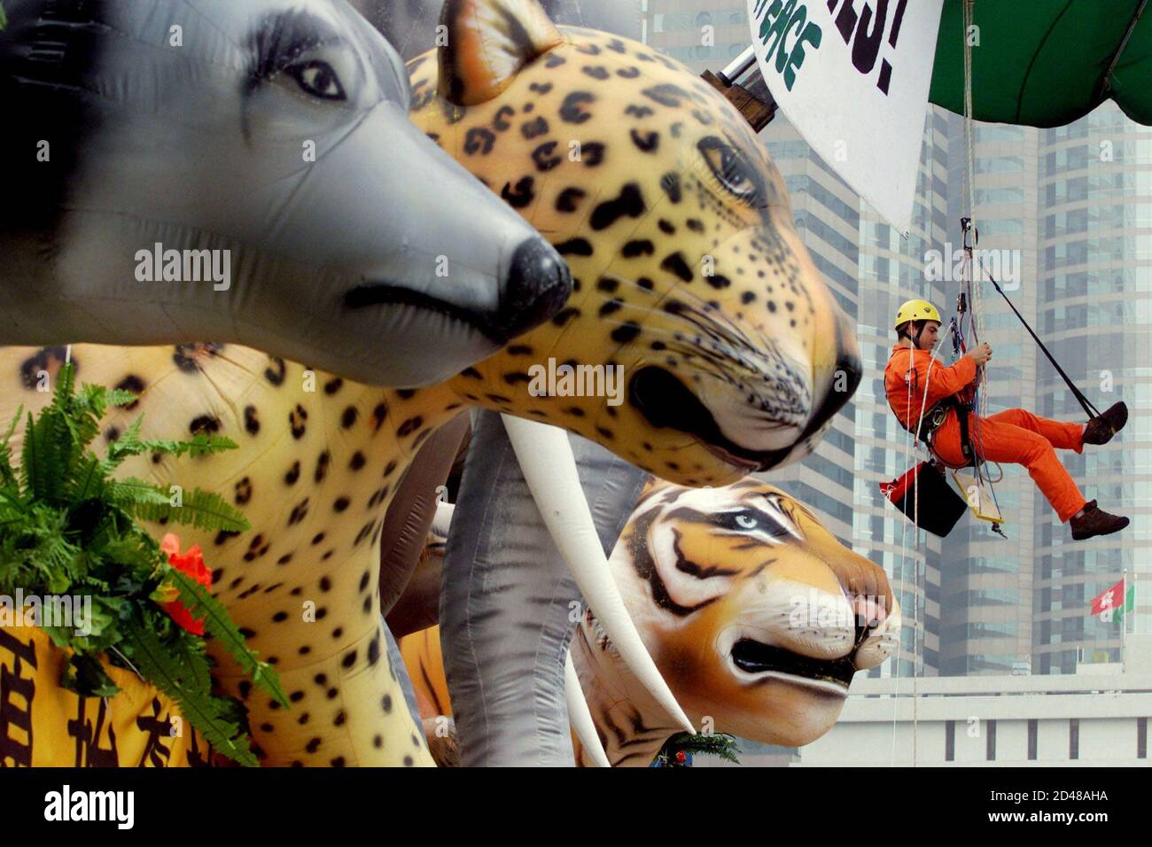 Ein Greenpeace-Aktivist hängt ein Protestbanner über riesigen aufblasbaren  Tiermodellen, darunter Wolf, jaguar, Elefant und Tiger, in Hongkong am 15.  Januar 2002 auf. Die Umweltschutzgruppe organisierte eine Parade mit  Modellen der "bedeutenden sieben"