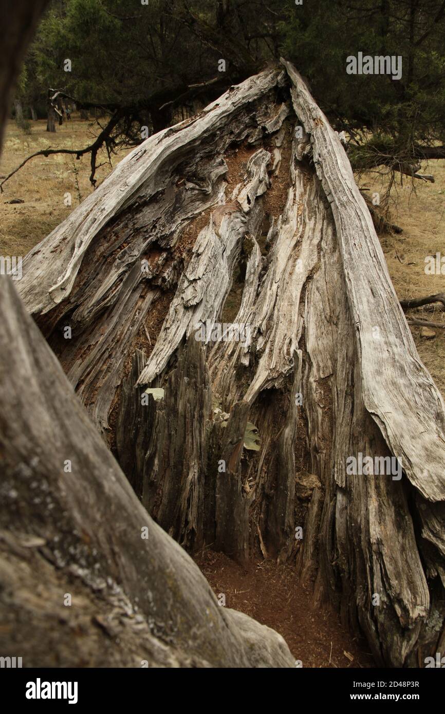 LA FUENTONA, SORIA, SPANIEN Stockfoto
