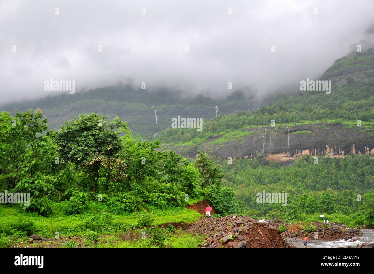 Der Berg bedeckt mit Wolken im Monsun Stockfoto