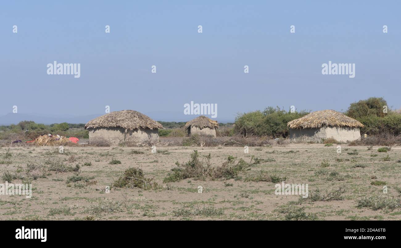 Eine Gruppe von Hütten mit Erdmauern und Strohdächern, umgeben von einem Zaun aus dornigen Ästen. Sinya Wildlife Management Area, Tansania. Stockfoto