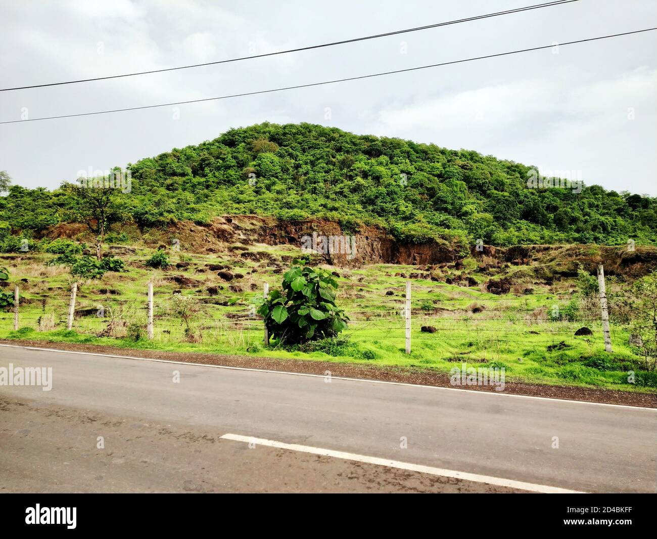 Die Straße neben dem Berg mit Pflanzen und Bäumen bedeckt. Stockfoto