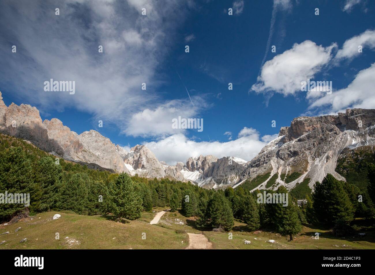 Blick auf Wanderwege und Bäume, mit den Gipfeln der Geisler Berggruppe in den italienischen Dolomiten, in den Alpen, Südtirol, Italien Stockfoto