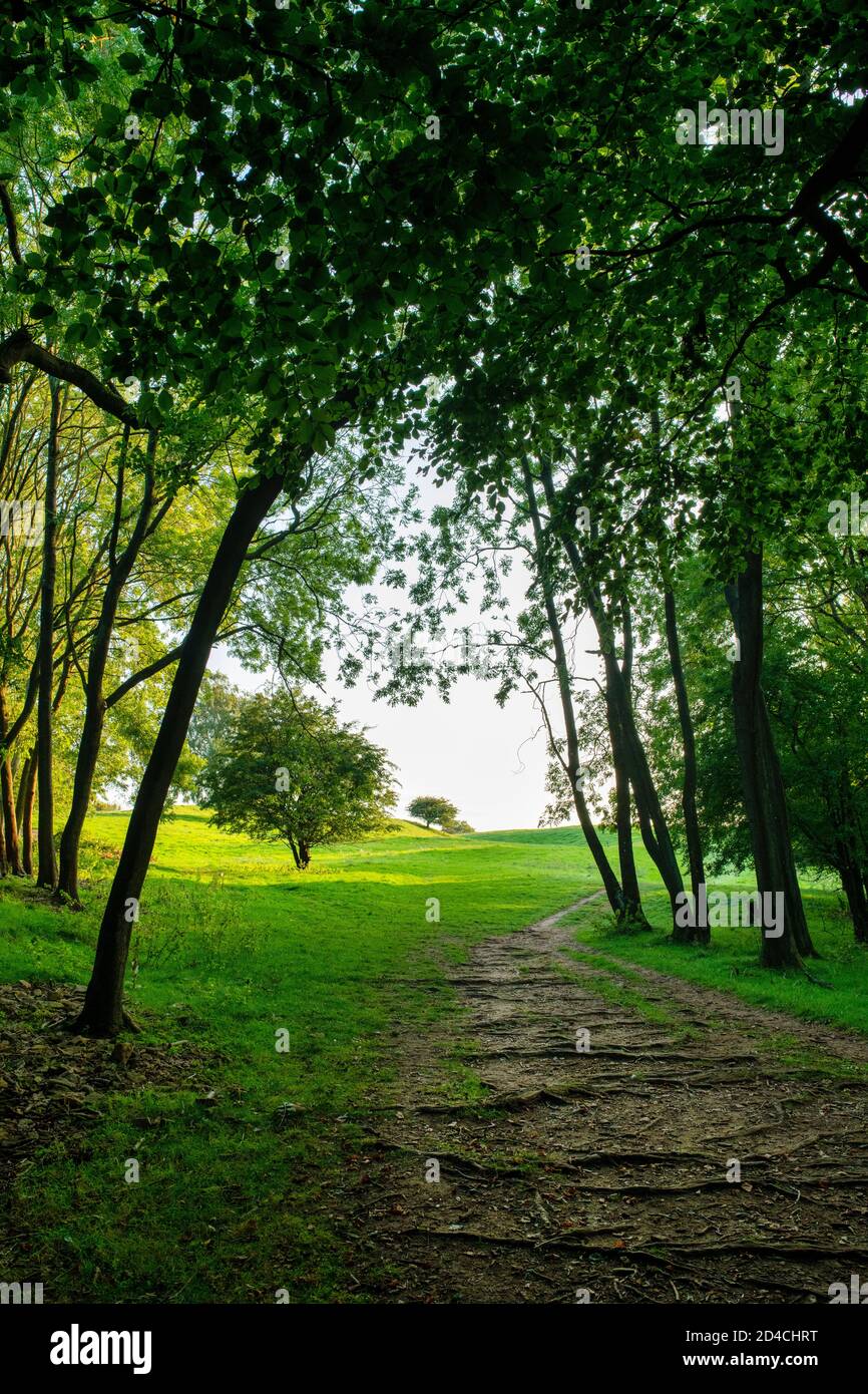 Der Cotswold Way Fußweg in der Nähe des broadway Towers an einem frühen septembermorgen. Broadway, Cotswolds, Worcestershire, England Stockfoto