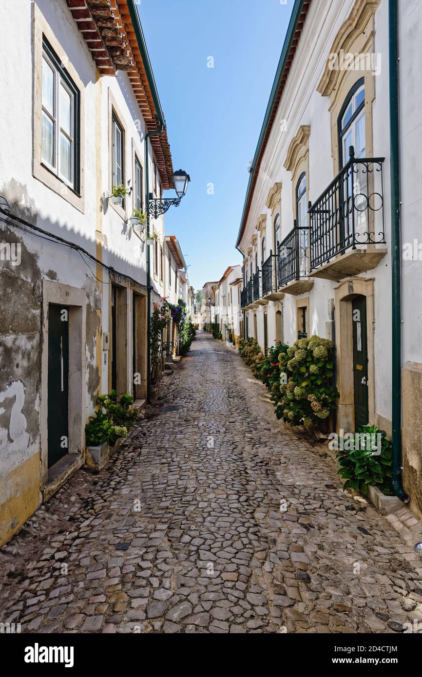 Straße im Stadtzentrum, Tomar, Santarem Bezirk, Portugal Stockfoto