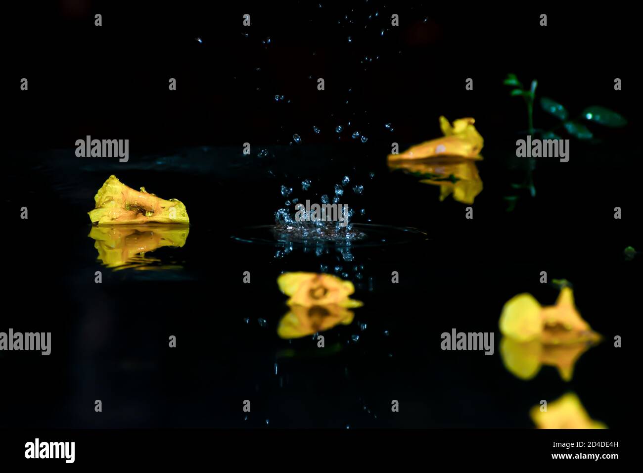 Regentropfen fallen auf den Boden, umgeben von gelben Blumen Stockfoto