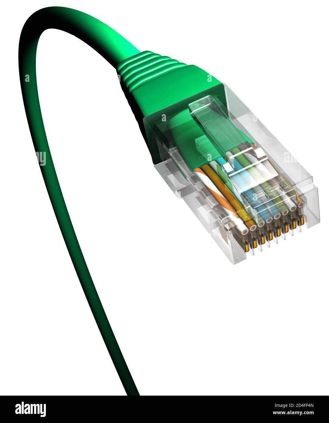 Ethernet-Kabel, Nahaufnahme, grün, pflanzenähnlich, weißer Hintergrund. Stockfoto