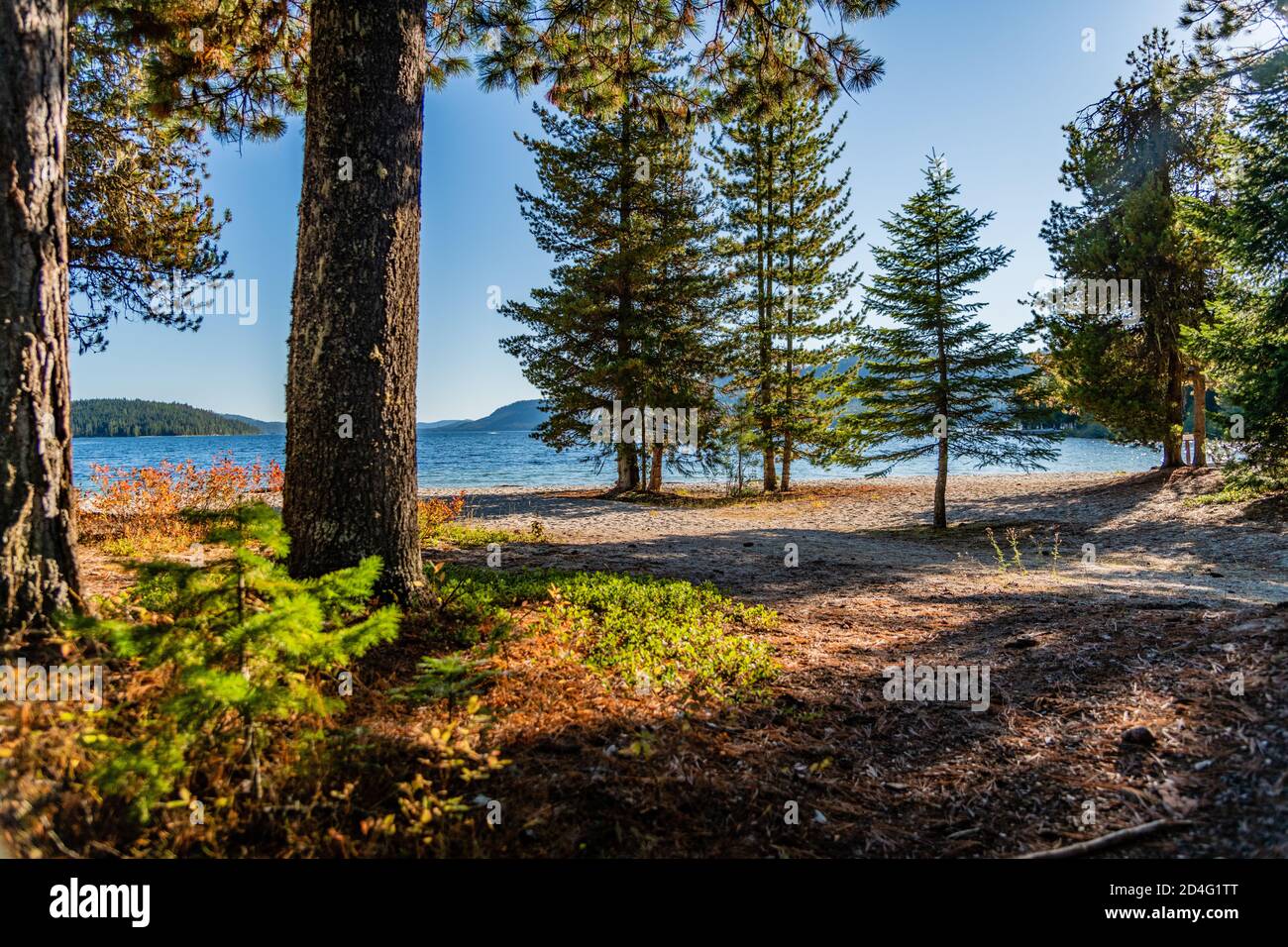 Lionhead Campground Priest Lake, Idaho. Stockfoto