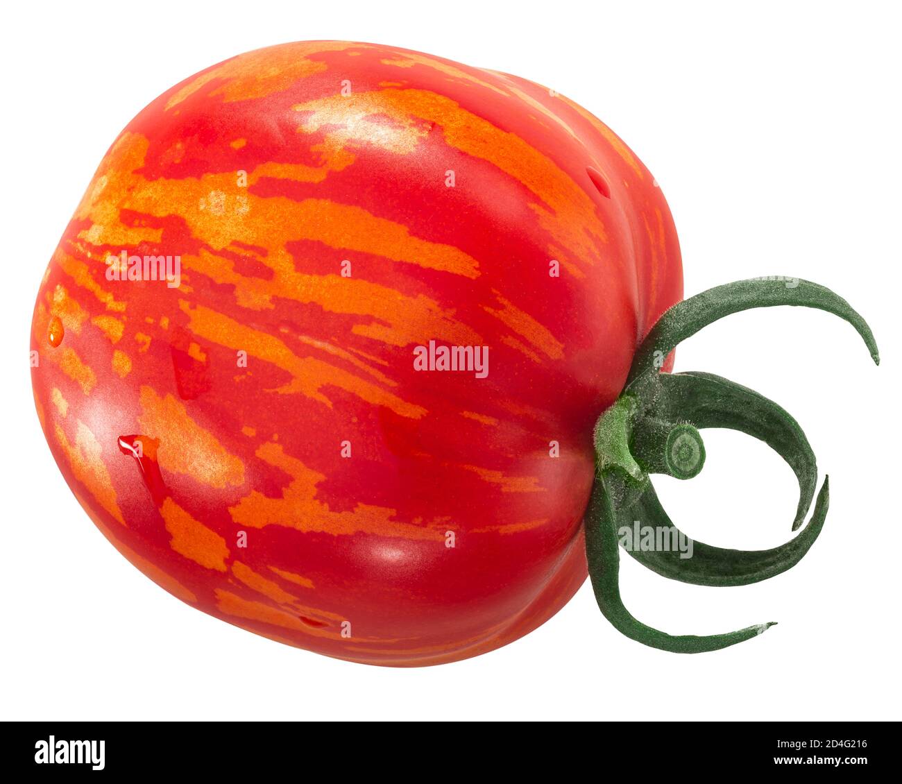 Gestreifte Stuffer Erbstück Tomate, ganze Frucht, isoliert Stockfoto